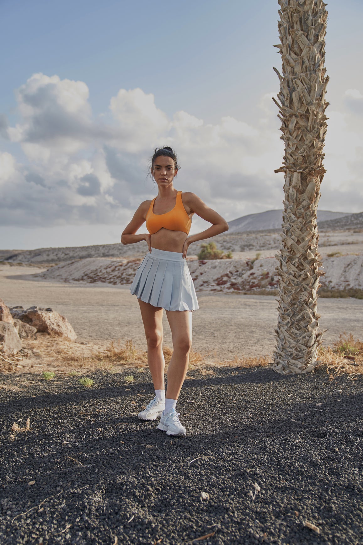 Falda plisada de corte A