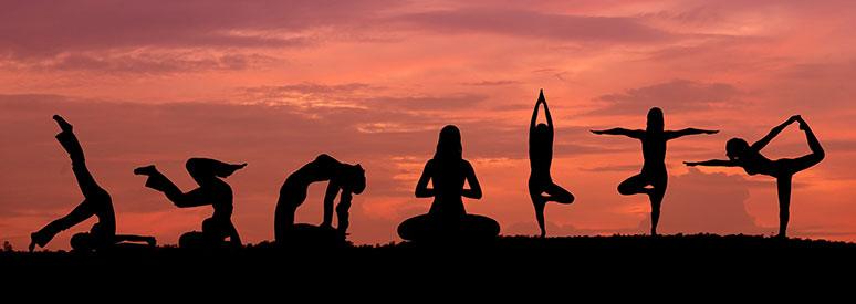 Which activewear is perfect to wear at the gym?.