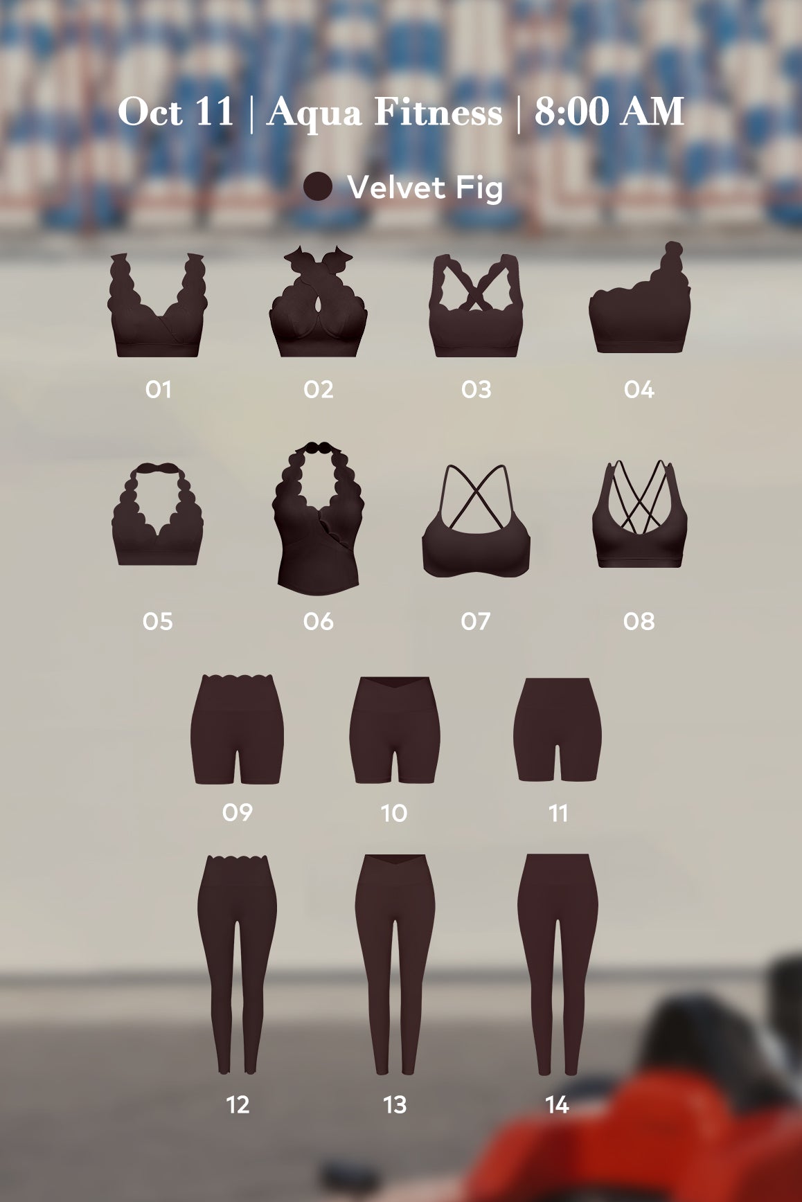 The Wellness Paddock | WISKII Rewards Exclusive